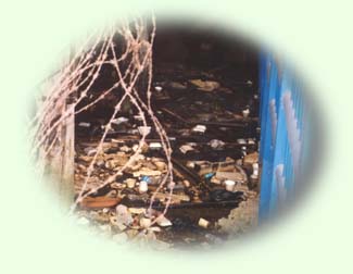 Sprite 24.JPG (13149 bytes)