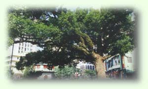 sp2.JPG (6889 bytes)